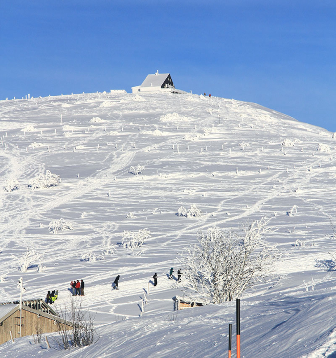 Location vacances La Bresse 